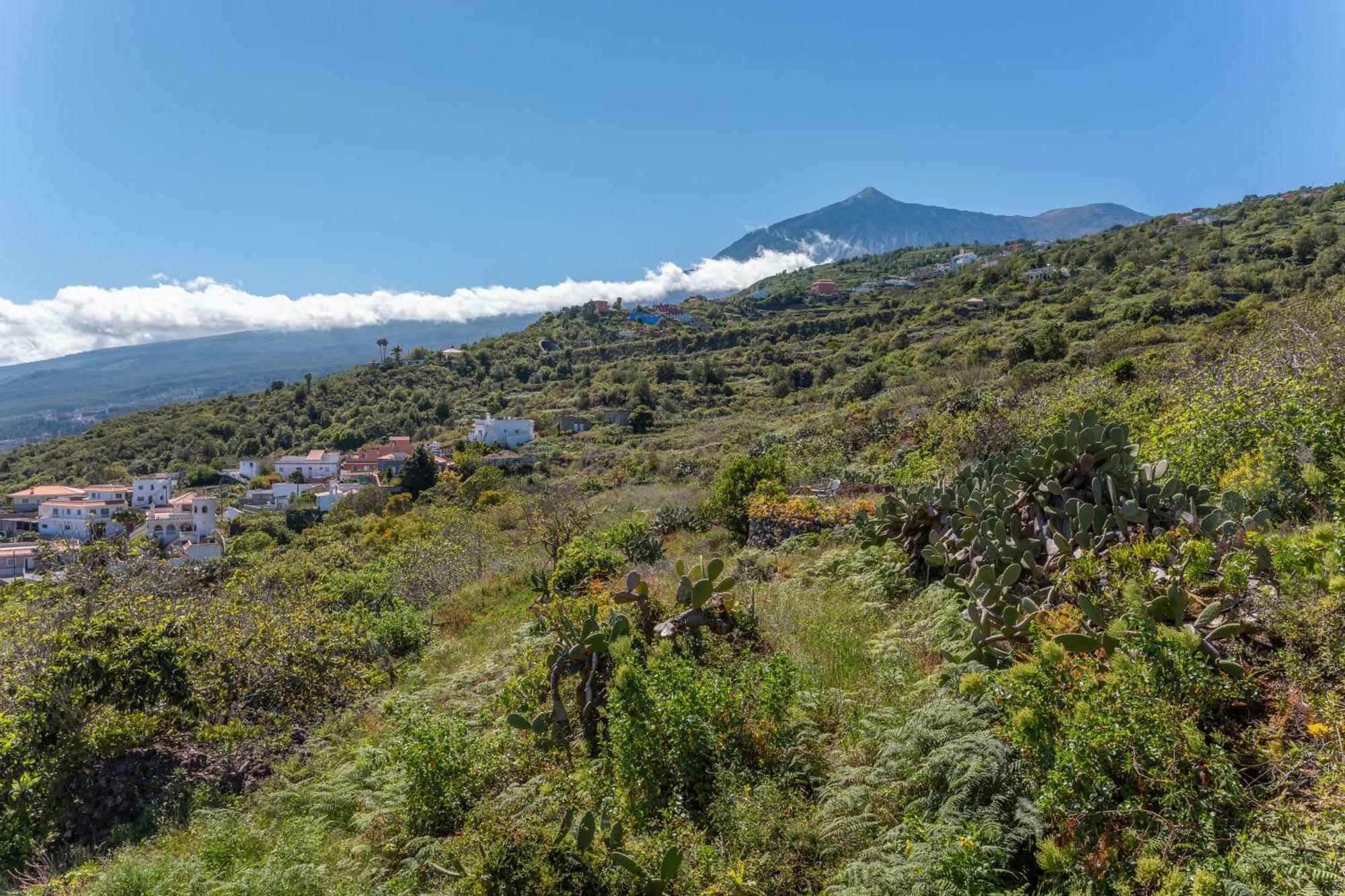 Las Casas Del Bisa Garachico  Εξωτερικό φωτογραφία